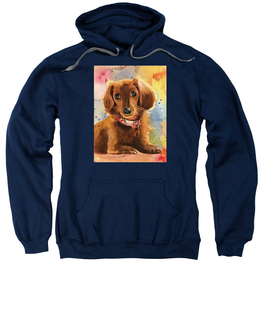 Longhair Dachsund - Sweatshirt
