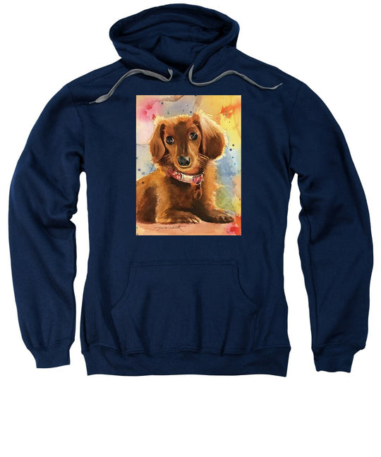 Longhair Dachsund - Sweatshirt