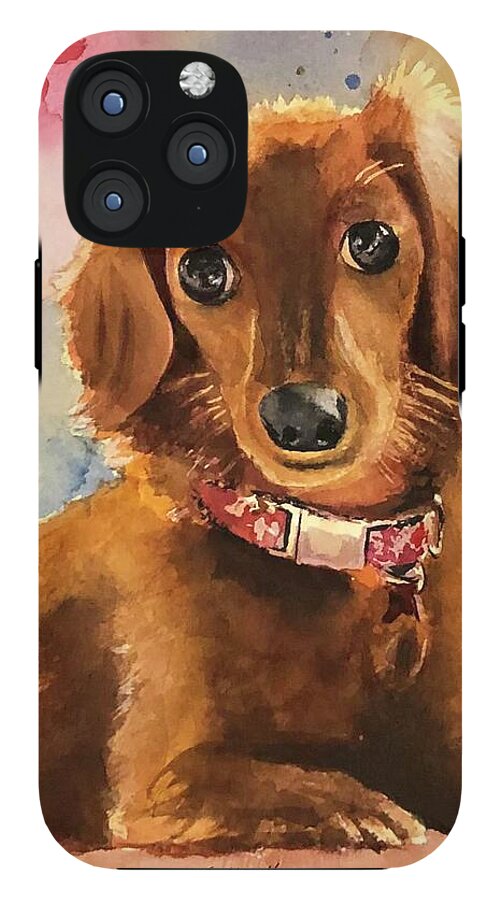 Longhair Dachsund - Phone Case