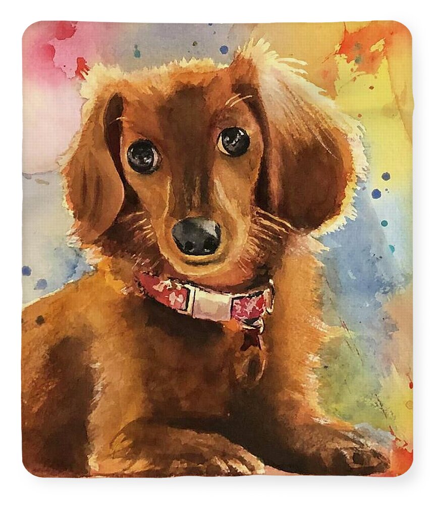 Longhair Dachsund - Blanket