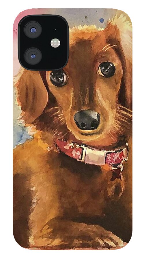 Longhair Dachsund - Phone Case