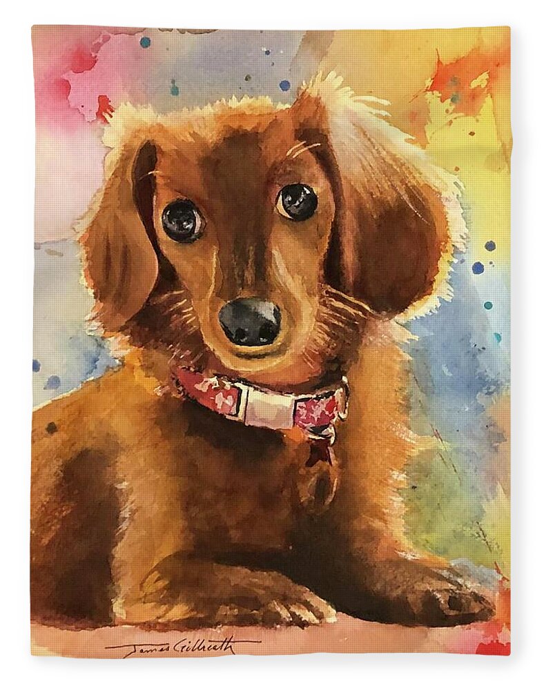 Longhair Dachsund - Blanket