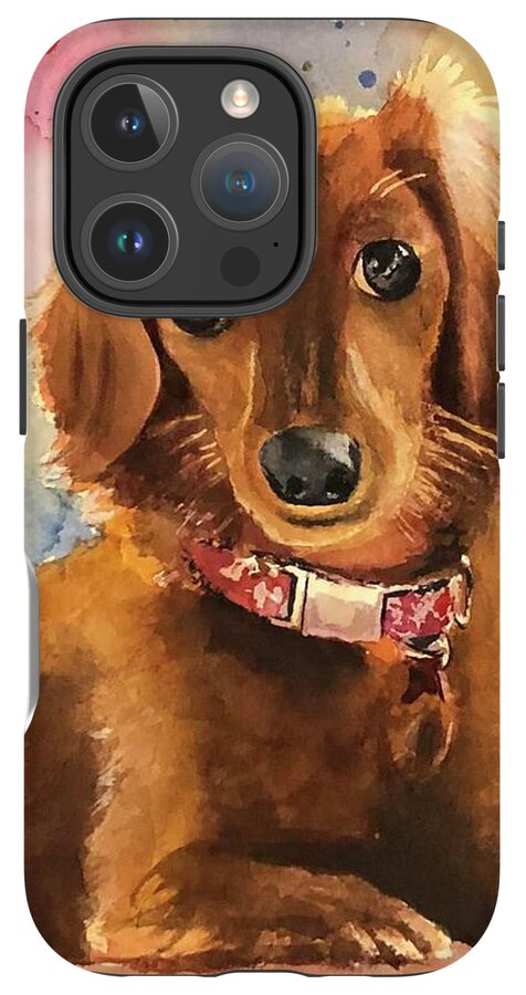 Longhair Dachsund - Phone Case