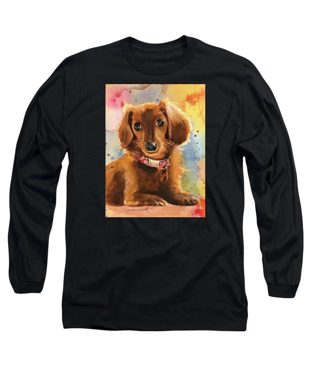Longhair Dachsund - Long Sleeve T-Shirt