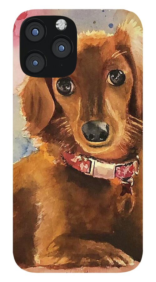 Longhair Dachsund - Phone Case