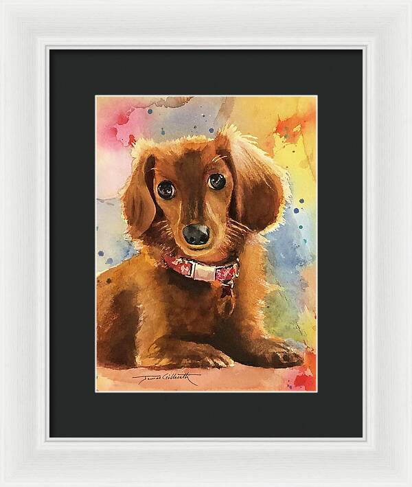 Longhair Dachsund - Framed Print