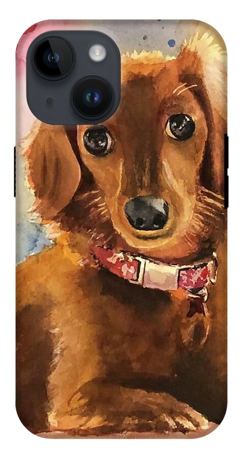 Longhair Dachsund - Phone Case