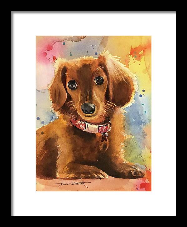 Longhair Dachsund - Framed Print