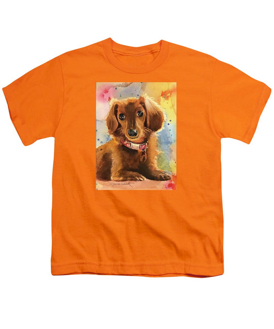 Longhair Dachsund - Youth T-Shirt