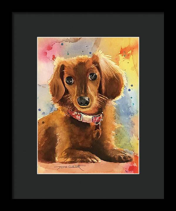 Longhair Dachsund - Framed Print
