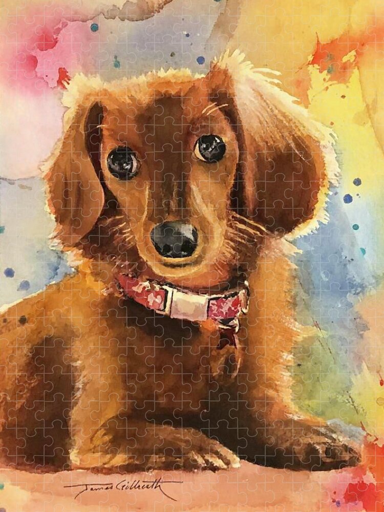 Longhair Dachsund - Puzzle