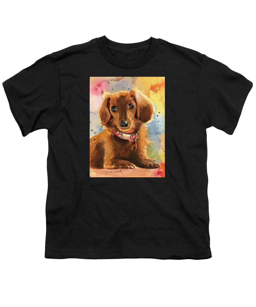 Longhair Dachsund - Youth T-Shirt