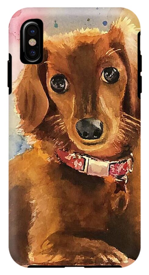 Longhair Dachsund - Phone Case