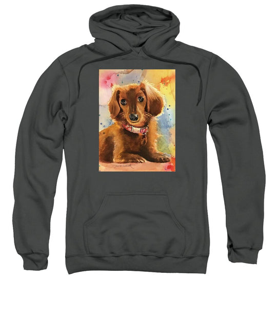 Longhair Dachsund - Sweatshirt