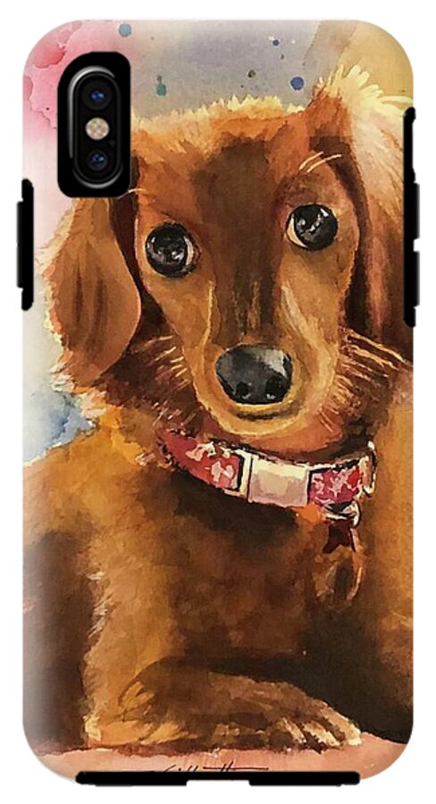 Longhair Dachsund - Phone Case