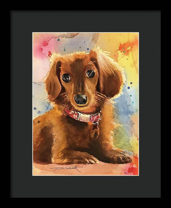 Longhair Dachsund - Framed Print