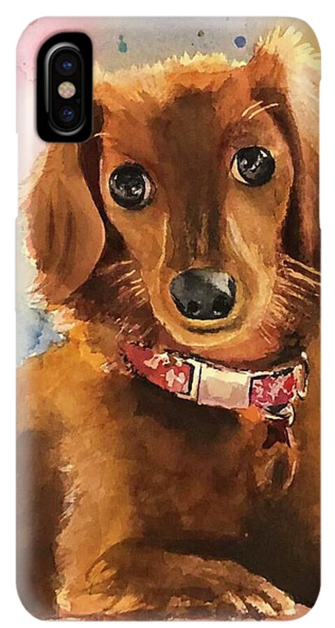 Longhair Dachsund - Phone Case