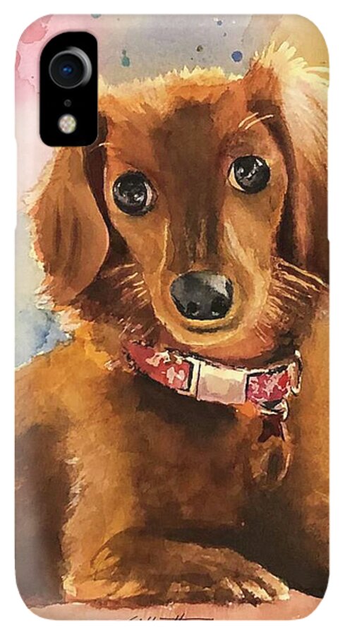 Longhair Dachsund - Phone Case