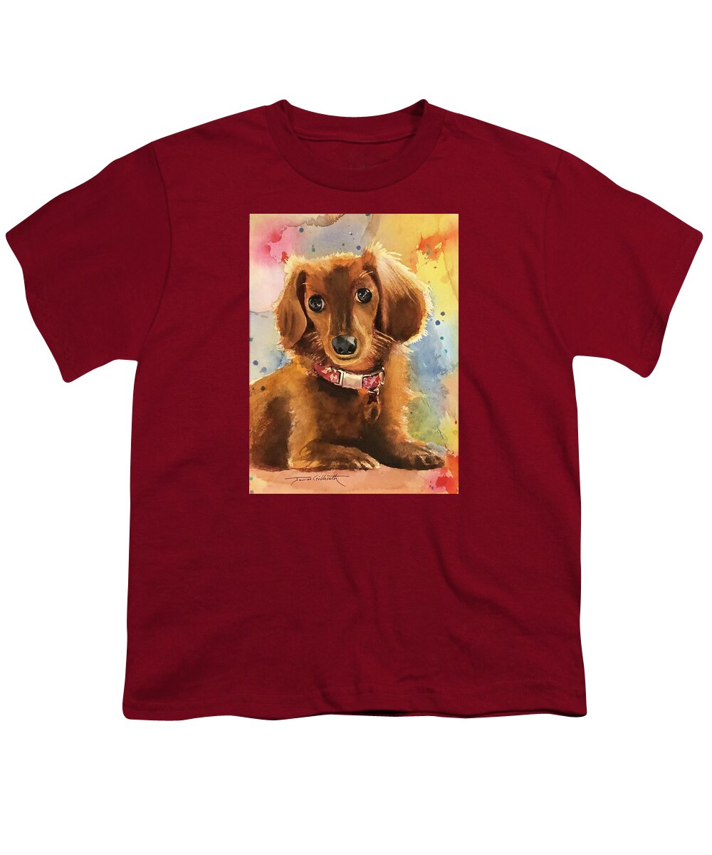 Longhair Dachsund - Youth T-Shirt