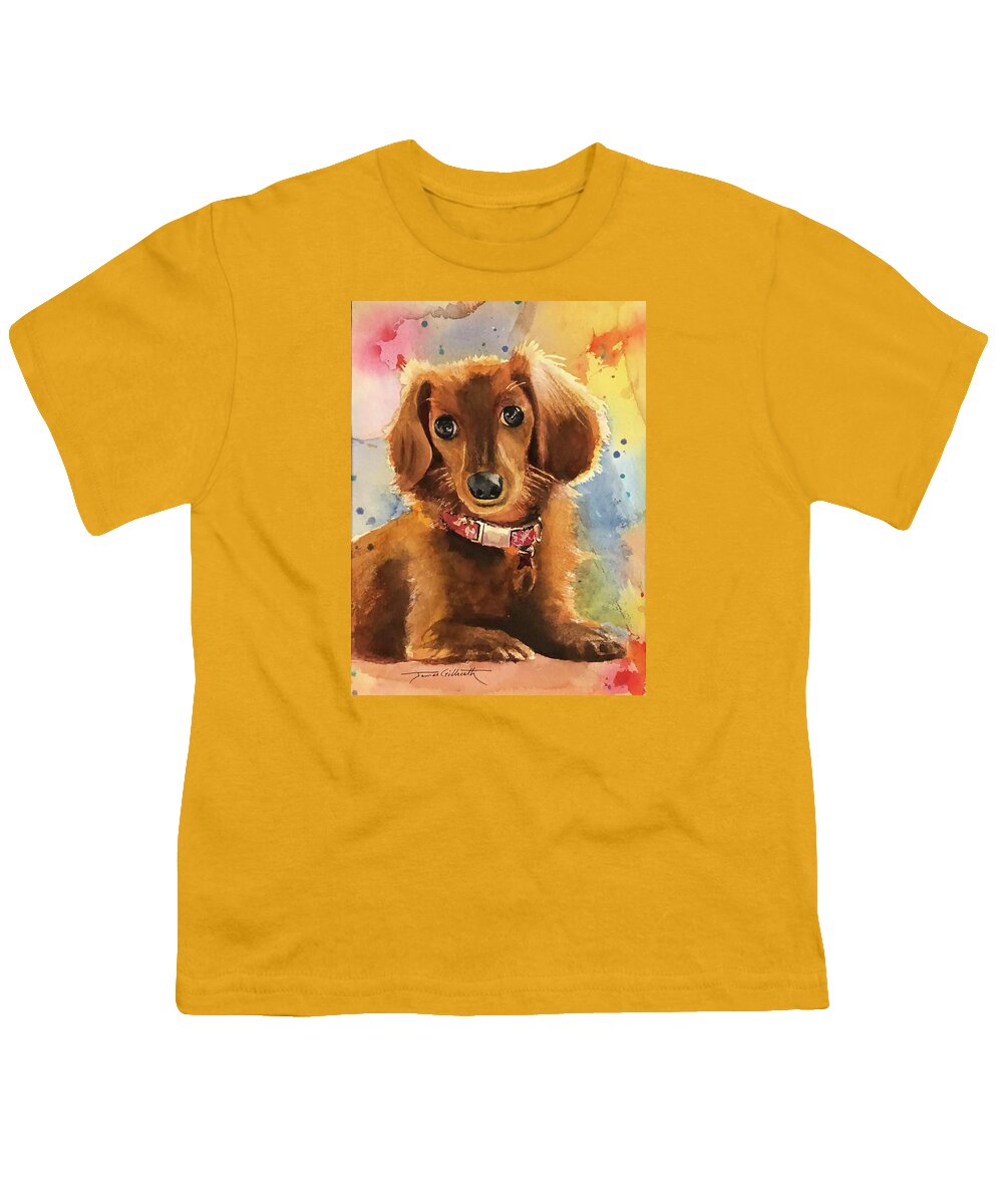 Longhair Dachsund - Youth T-Shirt