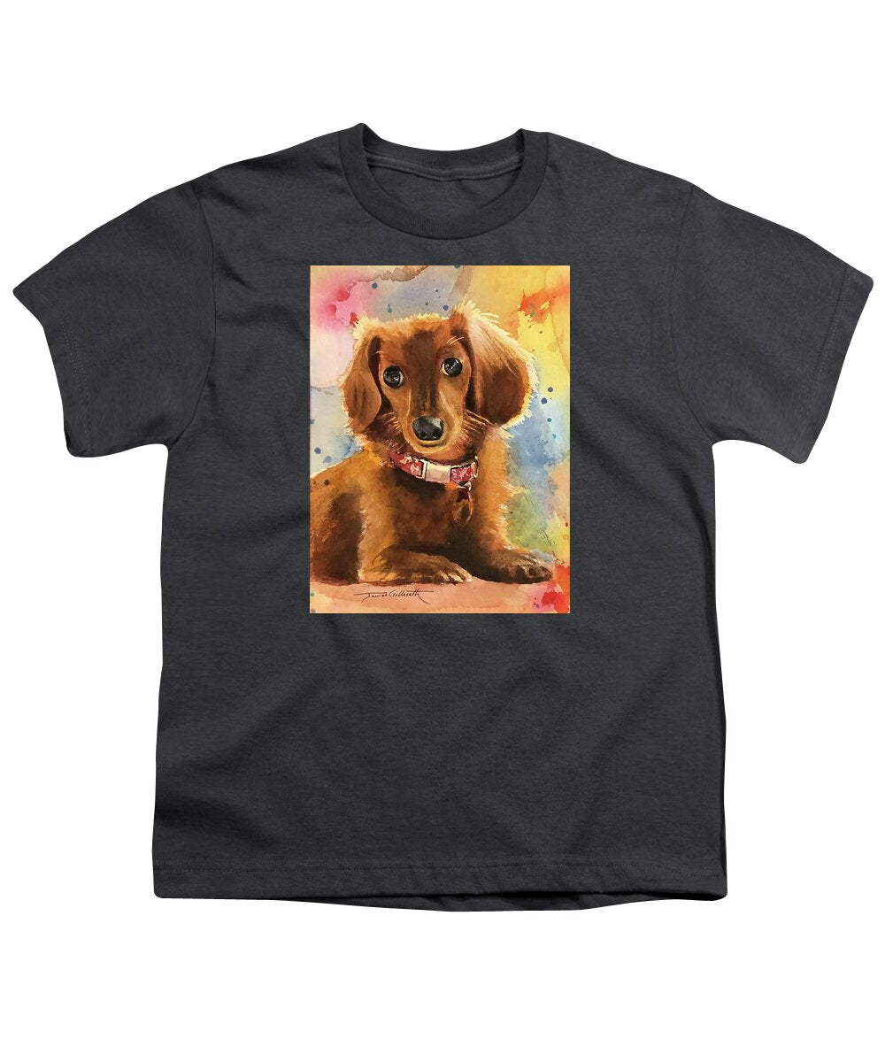 Longhair Dachsund - Youth T-Shirt