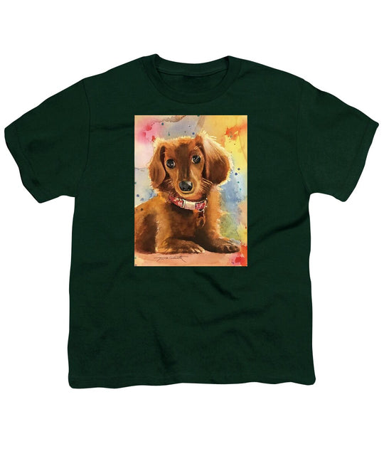 Longhair Dachsund - Youth T-Shirt