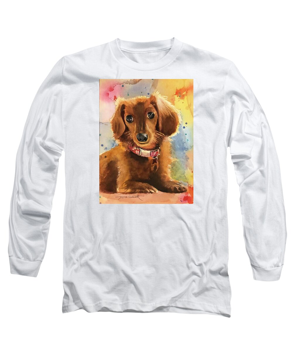 Longhair Dachsund - Long Sleeve T-Shirt
