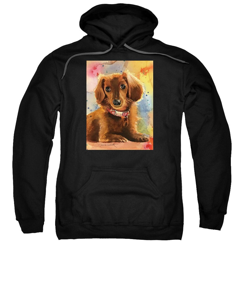 Longhair Dachsund - Sweatshirt