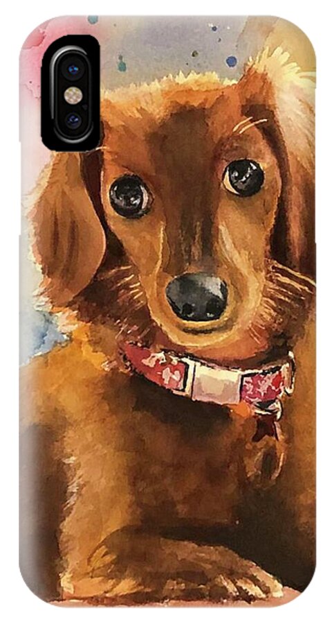 Longhair Dachsund - Phone Case
