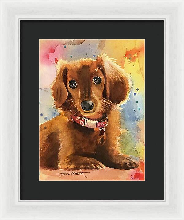 Longhair Dachsund - Framed Print
