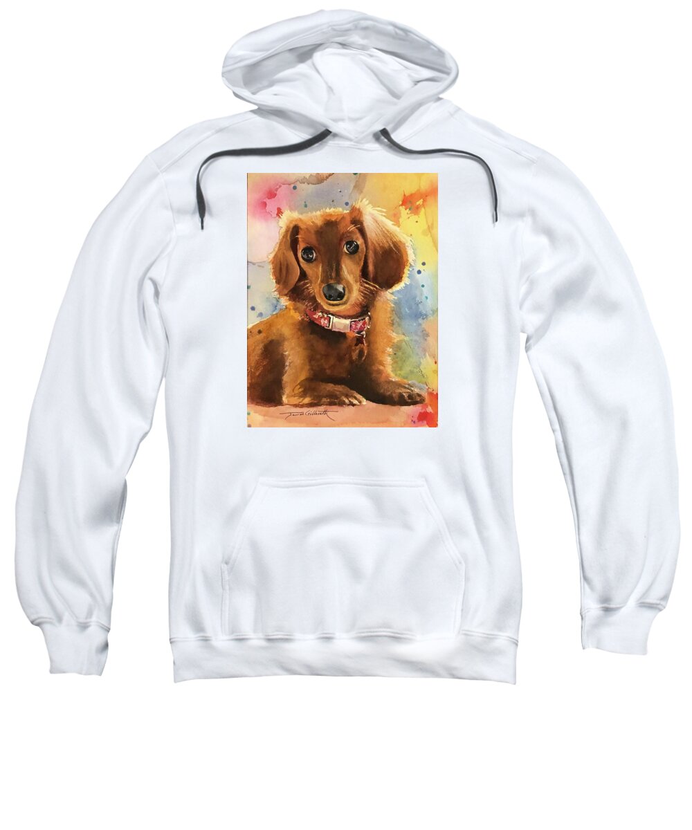 Longhair Dachsund - Sweatshirt