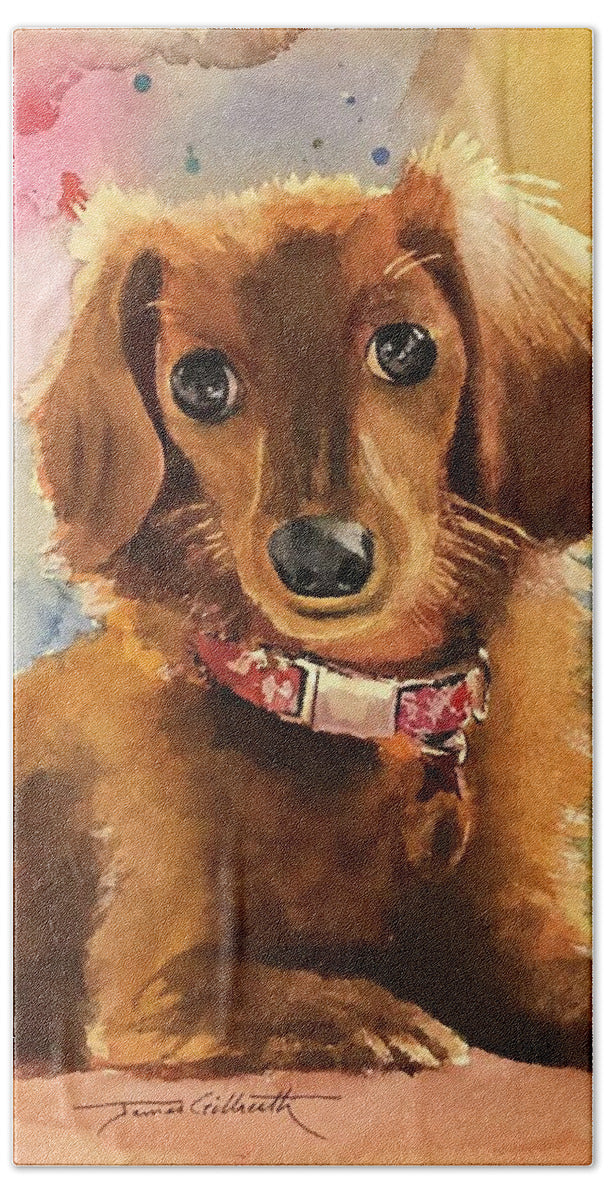 Longhair Dachsund - Bath Towel