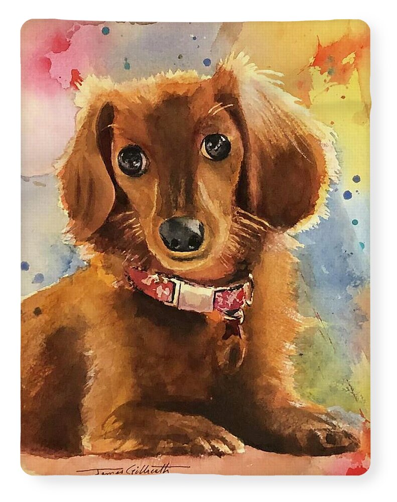 Longhair Dachsund - Blanket