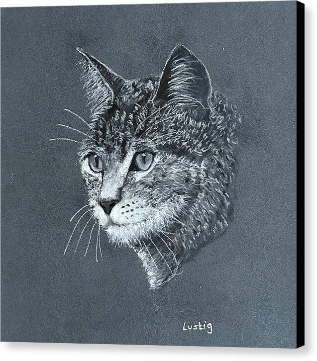 Miss Kitty - Canvas Print