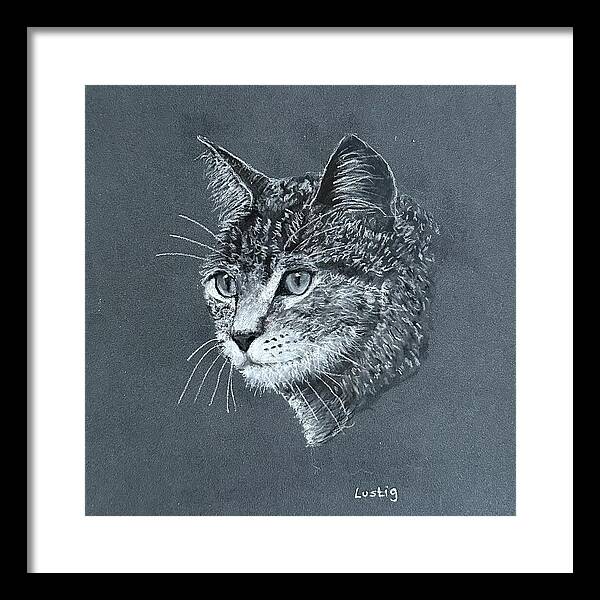 Miss Kitty - Framed Print
