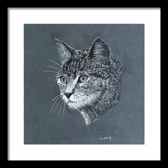 Miss Kitty - Framed Print