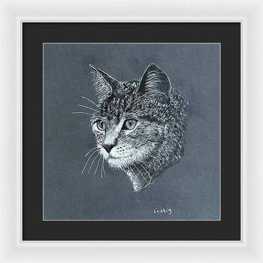 Miss Kitty - Framed Print