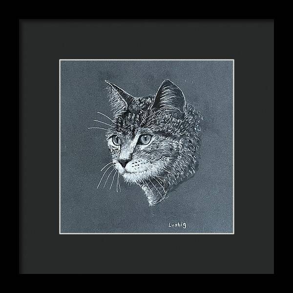 Miss Kitty - Framed Print