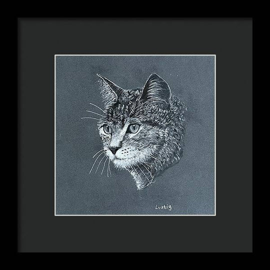 Miss Kitty - Framed Print