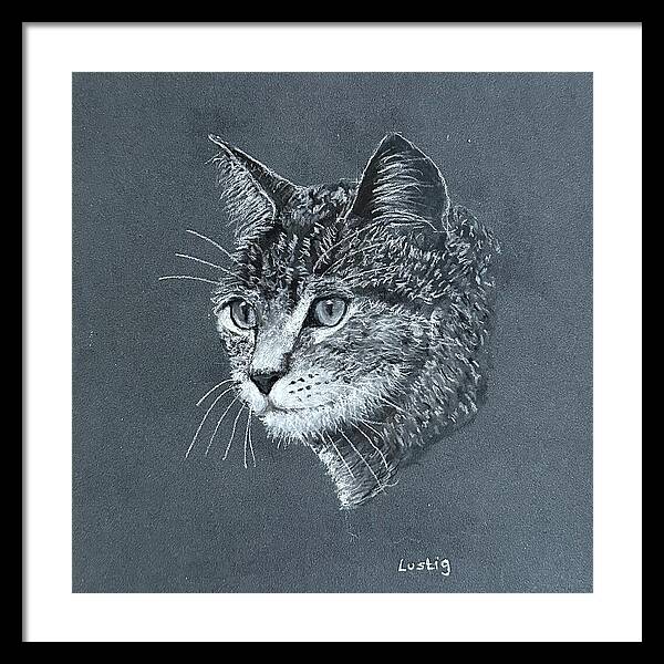 Miss Kitty - Framed Print