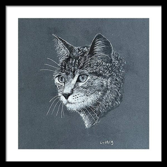 Miss Kitty - Framed Print