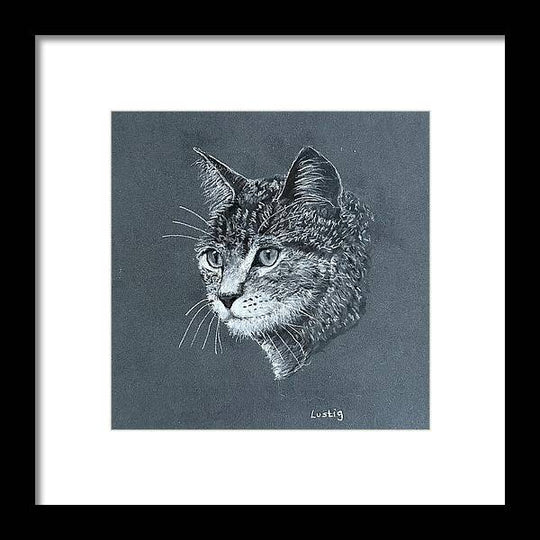 Miss Kitty - Framed Print