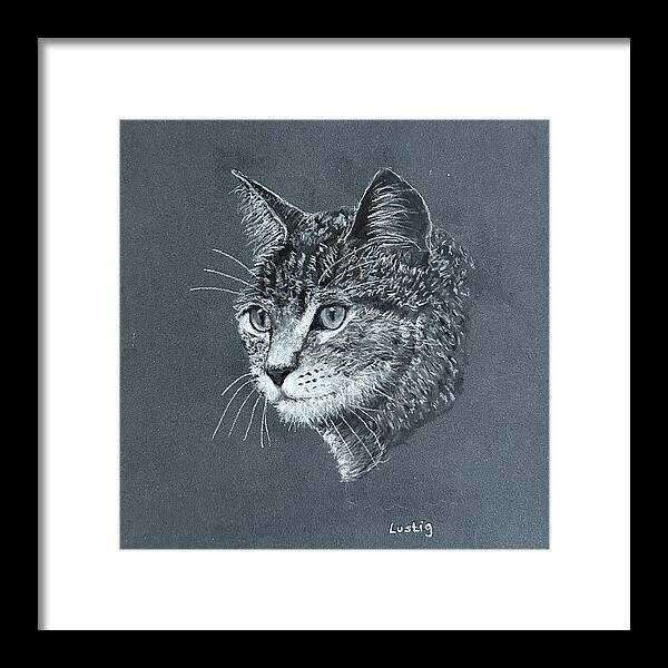 Miss Kitty - Framed Print