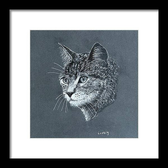 Miss Kitty - Framed Print
