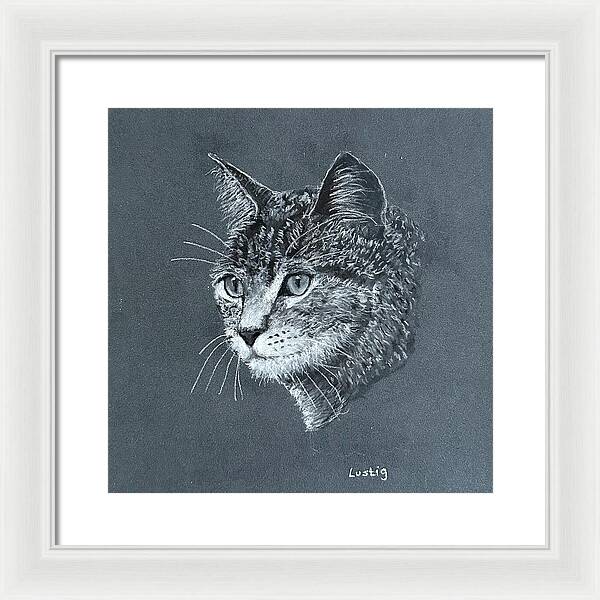 Miss Kitty - Framed Print