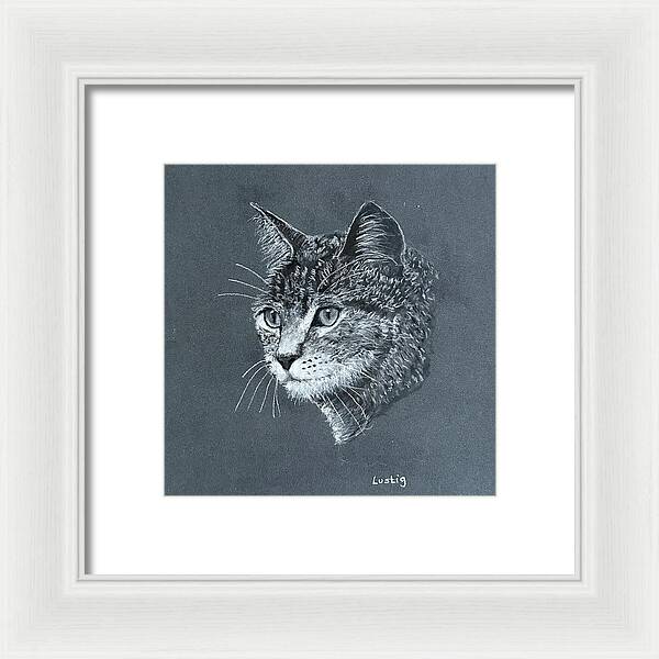 Miss Kitty - Framed Print