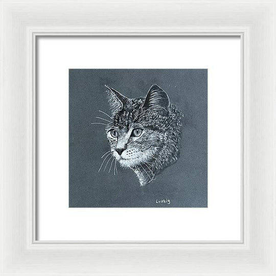 Miss Kitty - Framed Print