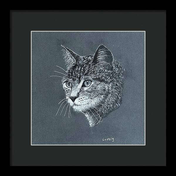 Miss Kitty - Framed Print