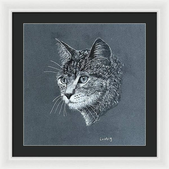Miss Kitty - Framed Print