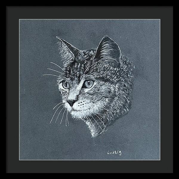 Miss Kitty - Framed Print